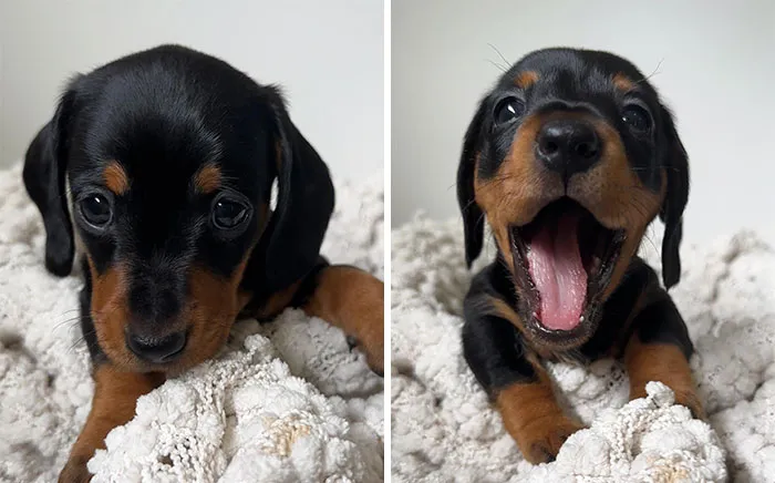 That Face