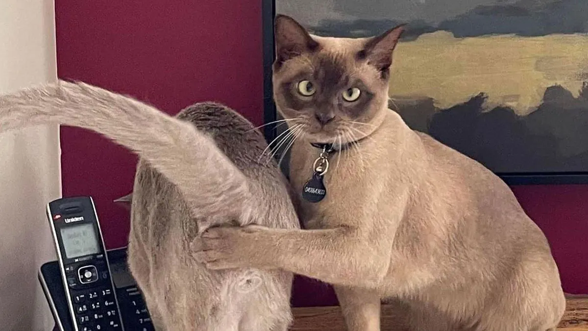 Folks Online Can’t Get Enough Of These 42 Pics Capturing The Cutest And Funniest Animals Ever