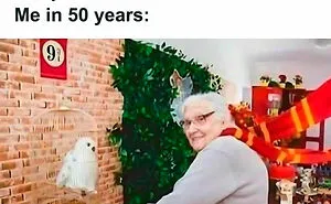 50 Of The Funniest Memes For Everyone Who Is Still Obsessed With Harry Potter