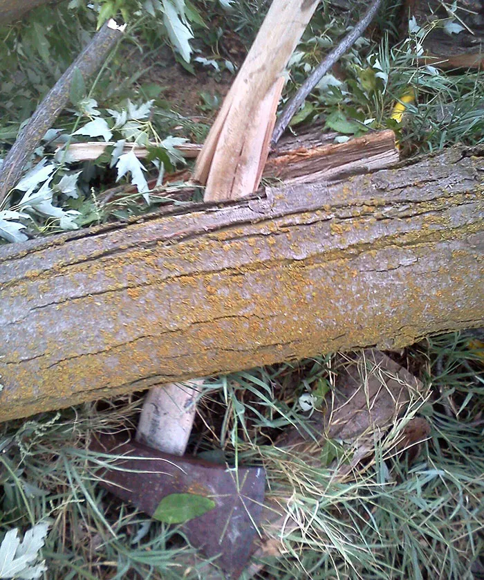 Anoche se cayó una rama del árbol y me rompió el hacha