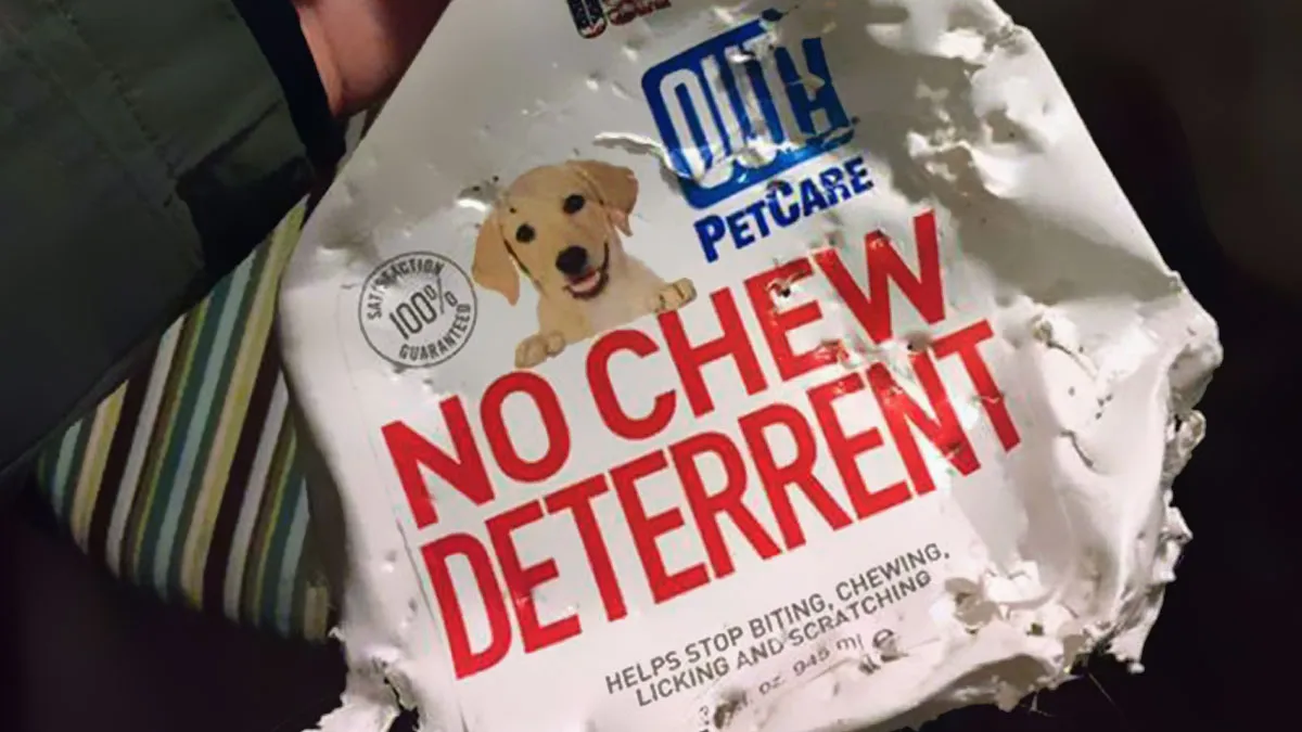 50 Times The Irony Couldn’t Have Been More ‘In Your Face’ (New Pics)