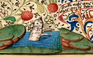 Medieval Memes That Give The Middle Ages A Modern Twist