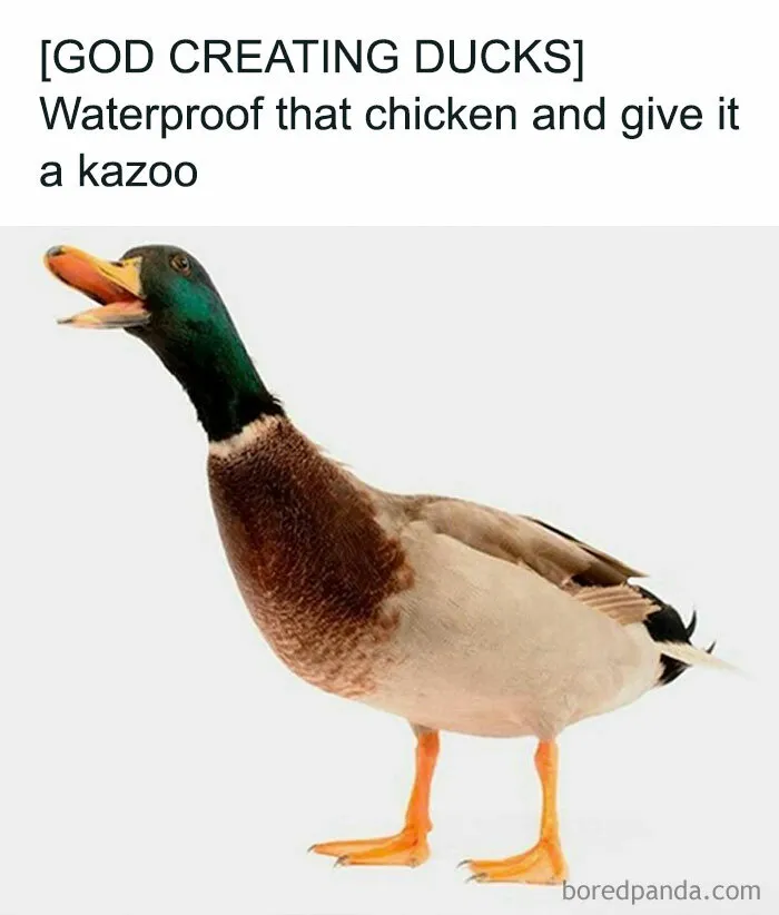 50 Mind-Numbing Memes For Anyone Who Needs A Good Laugh Today (New Pics)