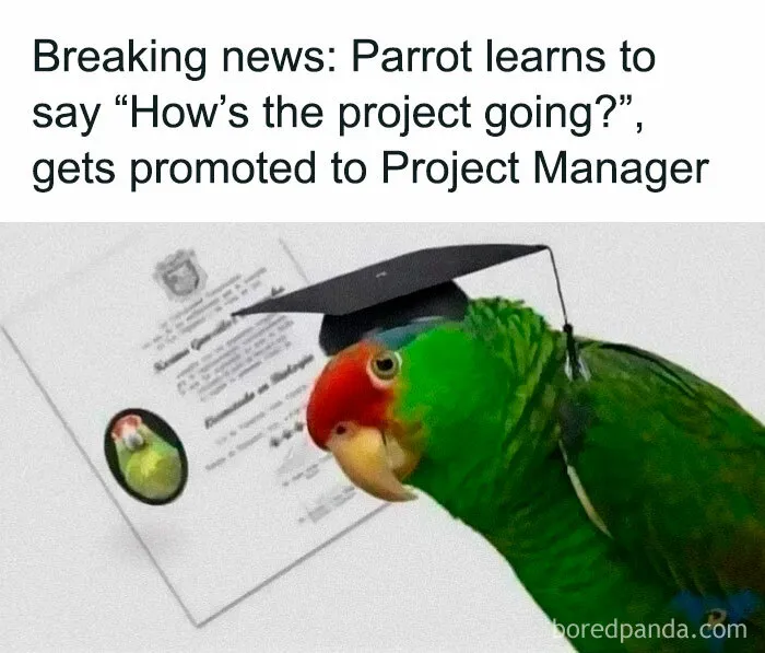 Breakingnews