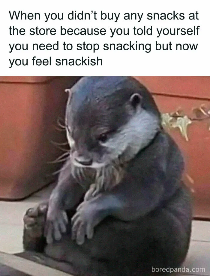 30 Funny And Relatable Posts And Memes About Navigating The World As A Woman