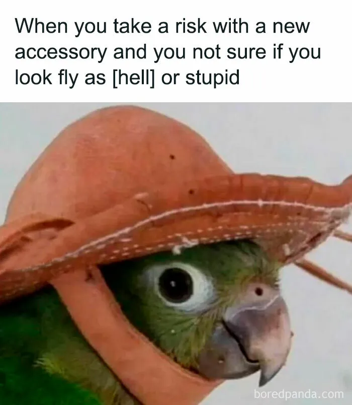30 Funny And Relatable Posts And Memes About Navigating The World As A Woman