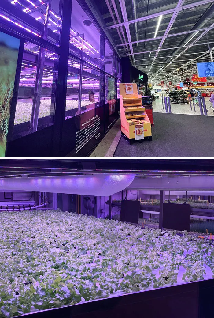 They're Growing Their Own Vegetables At My Local Supermarket