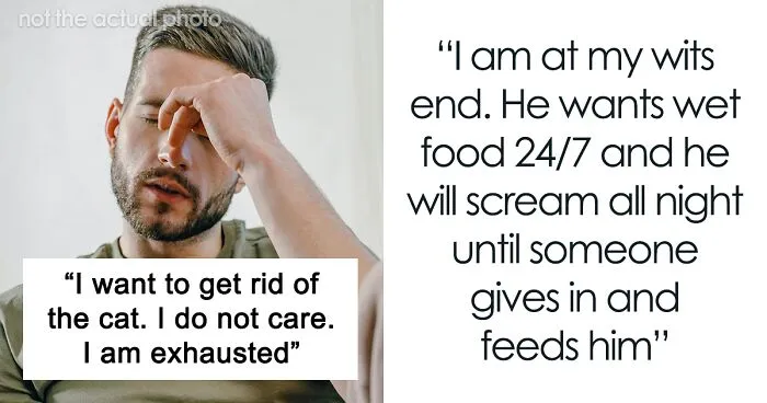 Man Loses Patience Over Wife’s “Frustratingly Annoying” Cat, Gives Her An Ultimatum
