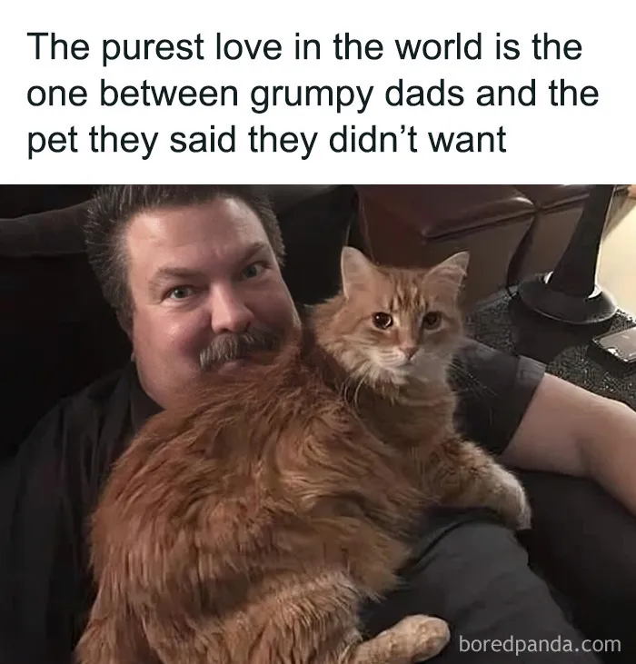 1.9M People Are Enjoying Wholesome Content From This FB Group, So Here Are 50 Of Their Best Posts (New Pics)