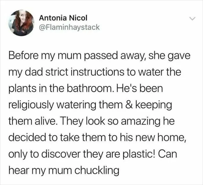 Brits Make The Internet A Better Place And Here Are 50 Of Their Posts, Shared On This IG Account