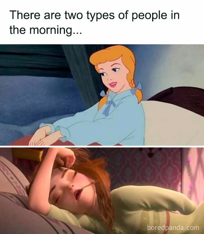 50 Hilarious Disney Memes That Non-Fans Can Relate To As Well