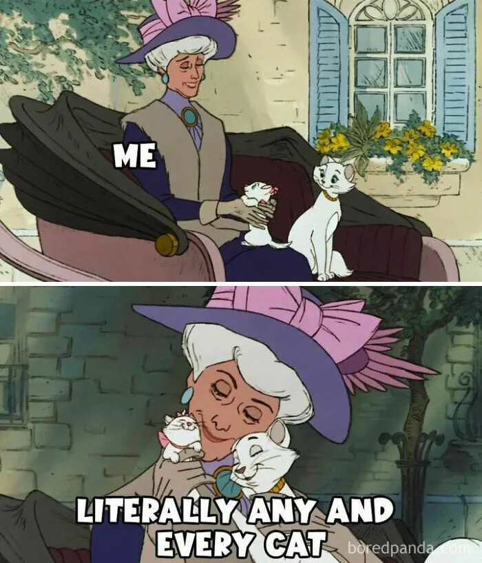 50 Hilarious Disney Memes That Non-Fans Can Relate To As Well