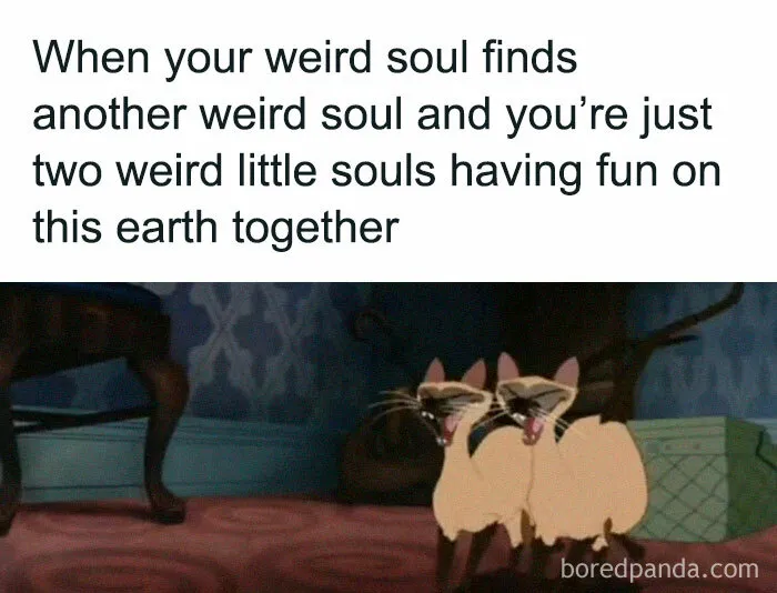50 Hilarious Disney Memes That Non-Fans Can Relate To As Well
