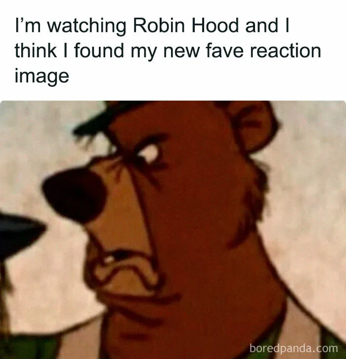 50 Hilarious Disney Memes That Non-Fans Can Relate To As Well