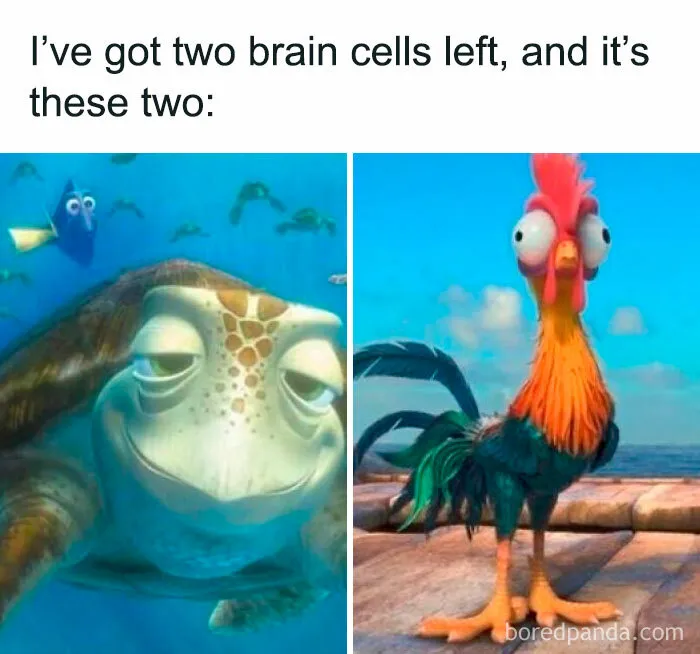 50 Hilarious Disney Memes That Non-Fans Can Relate To As Well