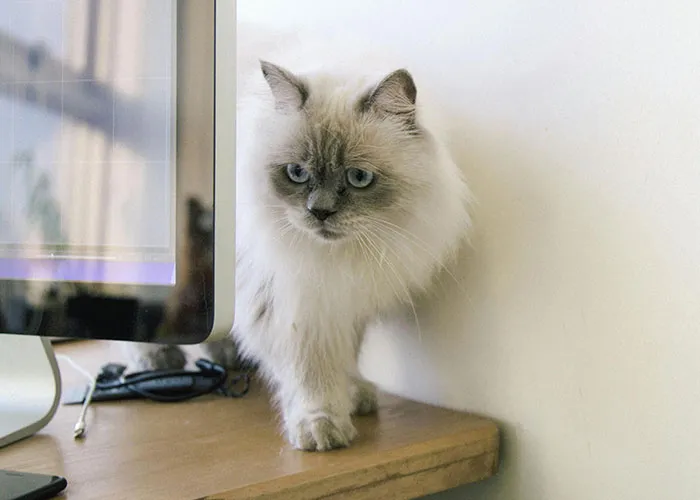 Professional House Cleaners Name 30 Things People Really Need To Clean In Their Home But Don’t