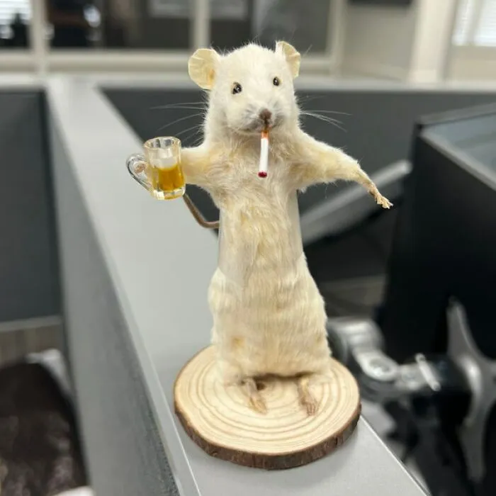 Channel Your Inner Eccentric Victorian With This Disturbingly Anthropomorphic   <a Style="Display:inline;" Href="Https://Www.etsy.com/Listing/1494992786/Taxidermy-Smoking-Drinking-Beer-Drunk?ga_order=most_relevant&ga_search_type=all&ga_view_type=gallery&ga_search_query=weird+gifts&ref=sr_gallery-1-15&pop=1&ret=1&content_source=ed979db7f5fe0a23d1862e35be5eaef897079a73%253a1494992786&organic_search_click=1" Target="_blank"><span Style="Font: Inherit; Color: #d74b1f;"> Taxidermied Mouse </Span> That's Living Its Best Afterlife, Complete With Vices And Questionable Hobbies