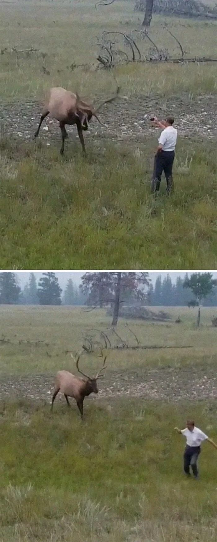 ¿No sabe usar el zoom de la cámara?