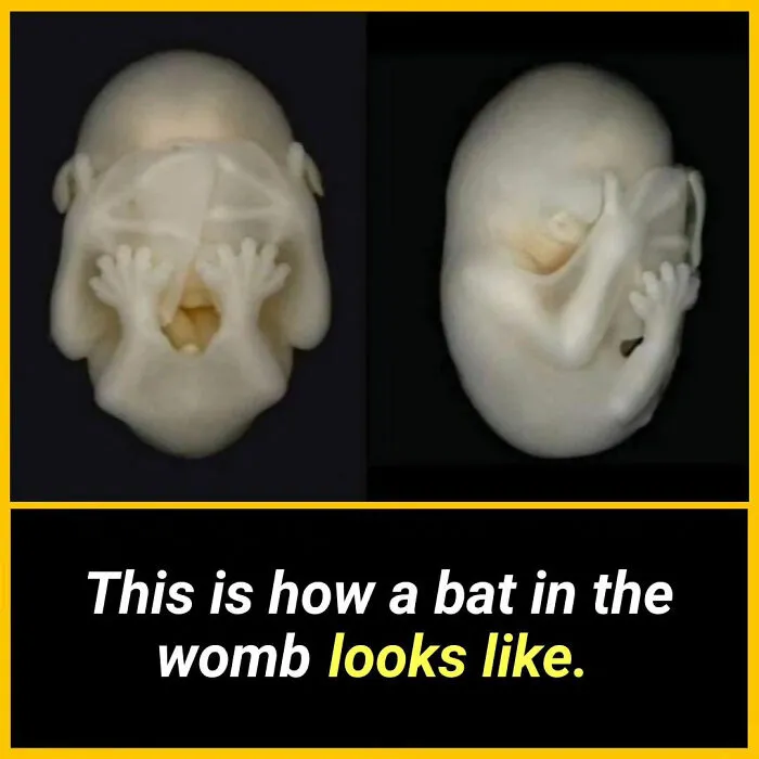 50 Random And Interesting Facts You Might Not Know About The World