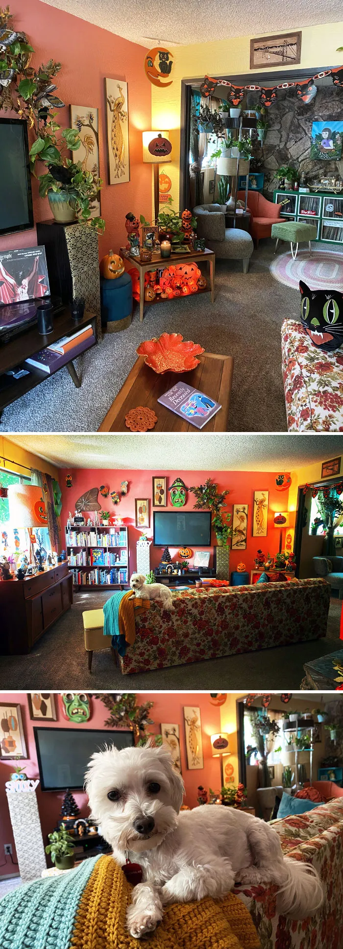 I Know It's Early, But I Just Finished Decorating For Halloween. Bonus Melvin