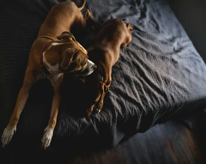 “Apparently He’s Into Men Now”: 30 People Who Regret Not Leaving Their SO Sooner