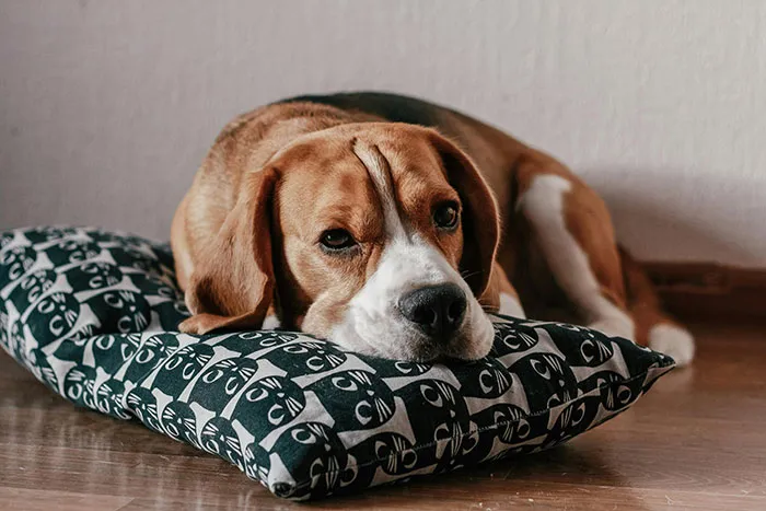 Someone Asked “How Did You Lose Your Best Friend?” And 50 People Got Honest