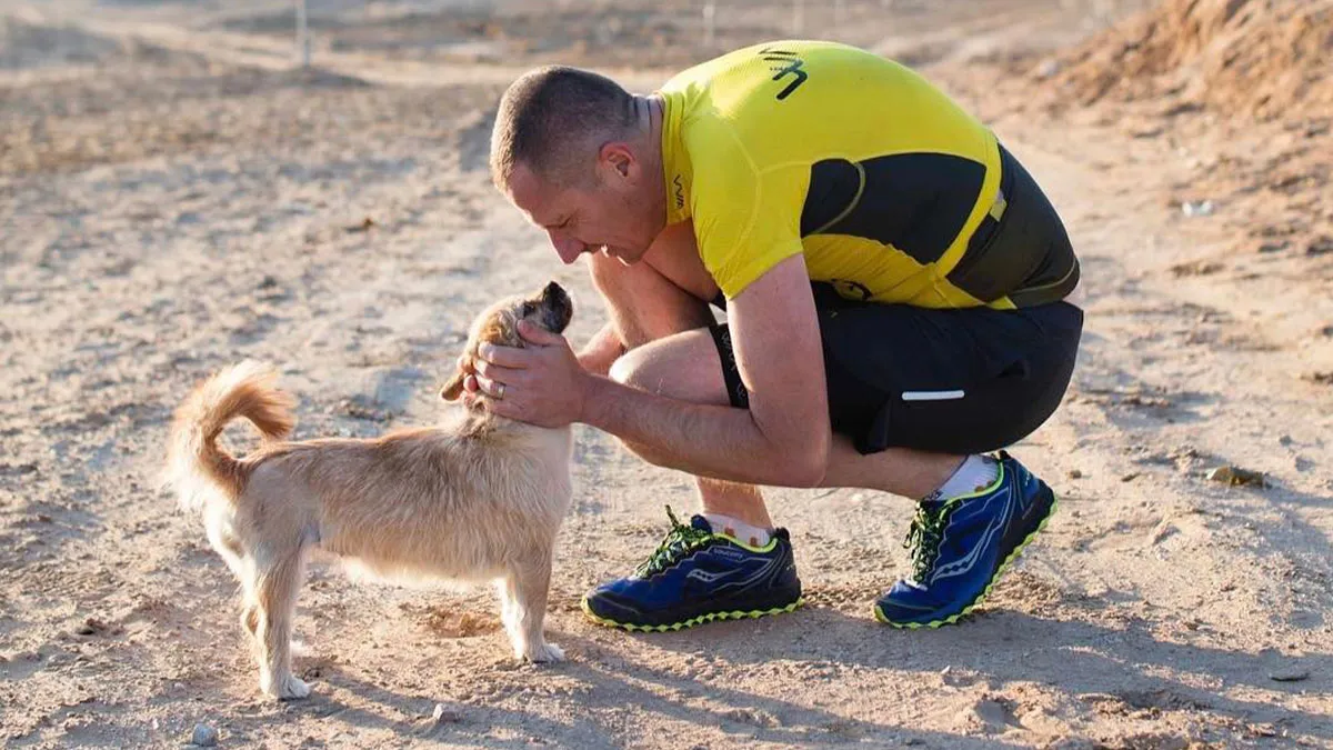 Stray Dog Runs 80 Miles With Athlete In Chinese Desert, Finds A New Home