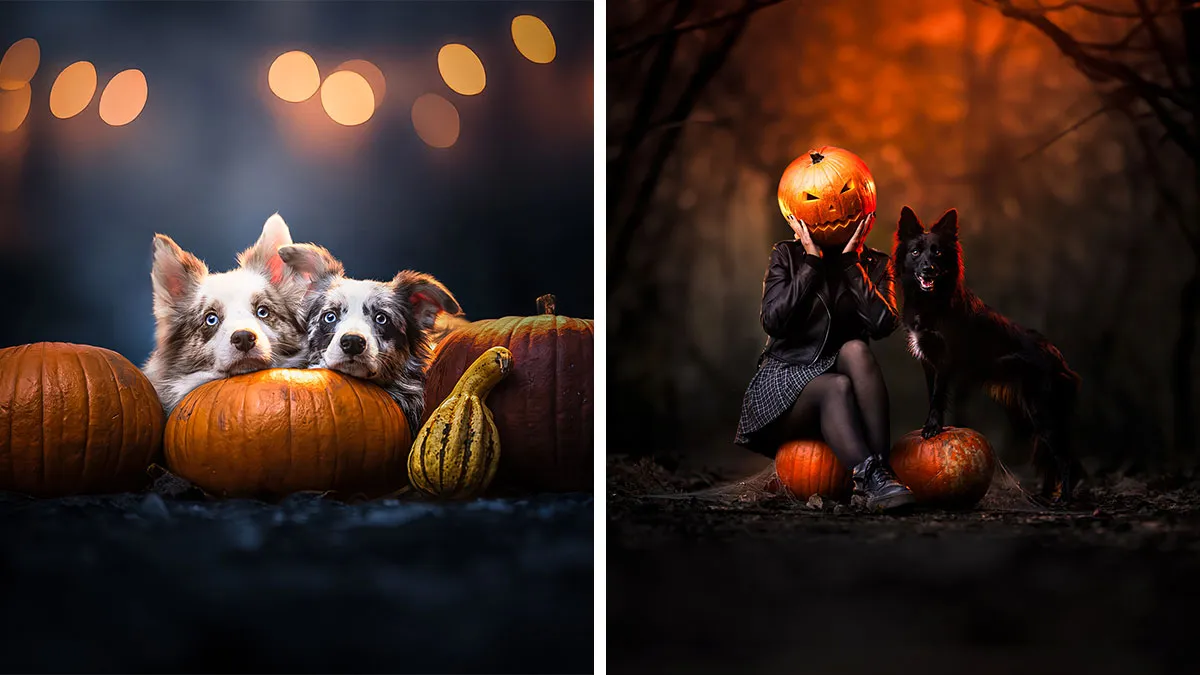 I’m A Photographer Who Captured 20 Spooky Yet Enchanting Dog Portraits