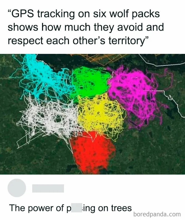 This IG Page Is Home To All Kinds Of Cool Data, Here Are 30 Of Their Most Interesting Posts