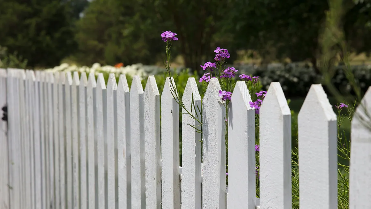 Person Replaces Old Fence After Property Survey, Faces Unexpected Lawsuit From Their Neighbor