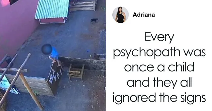 "I'm In Denial": 9-Year-Old Takes Lives Of 23 Animals In Brutal Incident