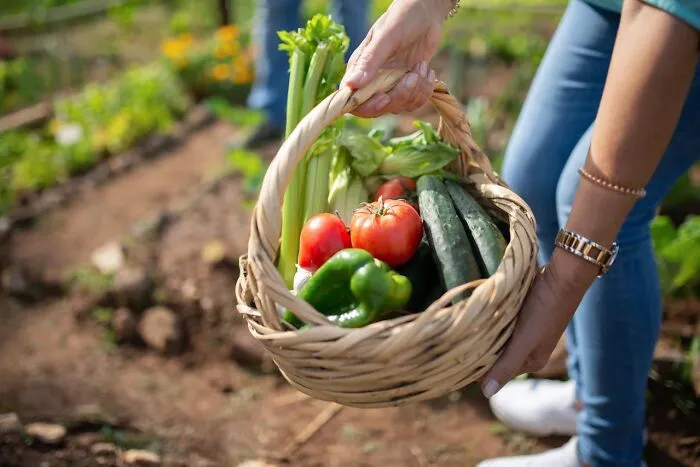 30 Of The Most Useful ‘Poor People’ Life Hacks, As Shared In This Online Thread