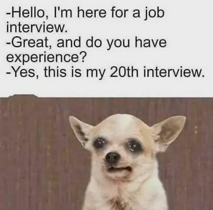 50 Funny Memes For When You’re Too Tired To Do Anything Else