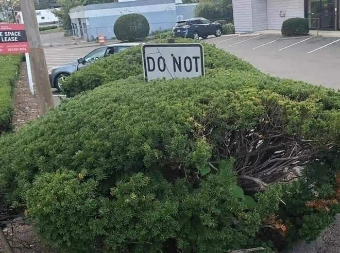 50 Pics That Are So Ridiculously Random, You Can’t Help But Laugh