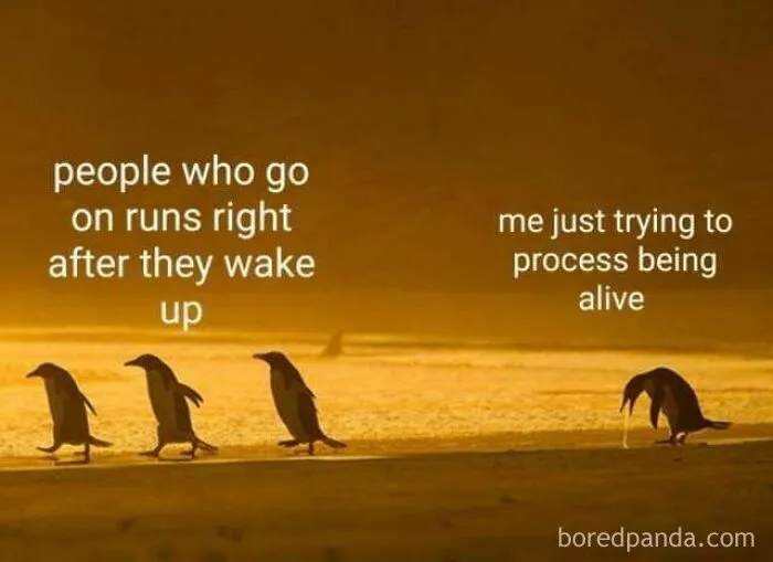 50 Funny Memes For When You’re Too Tired To Do Anything Else