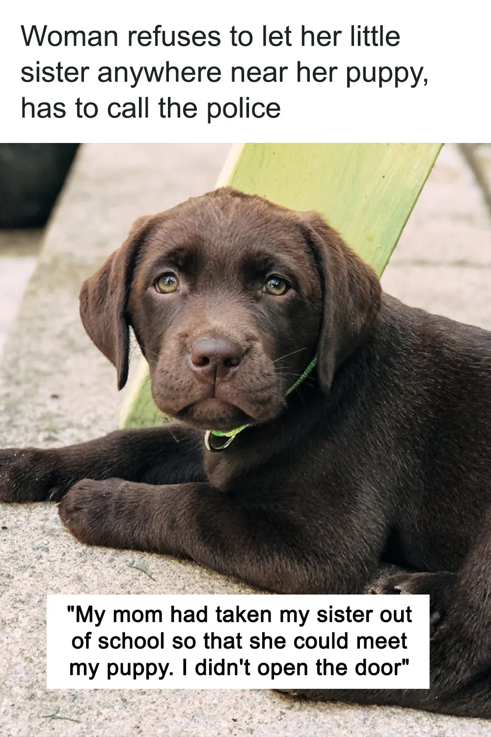 Woman Refuses To Let Her Little Sister Anywhere Near Her Puppy, Has To Call The Police