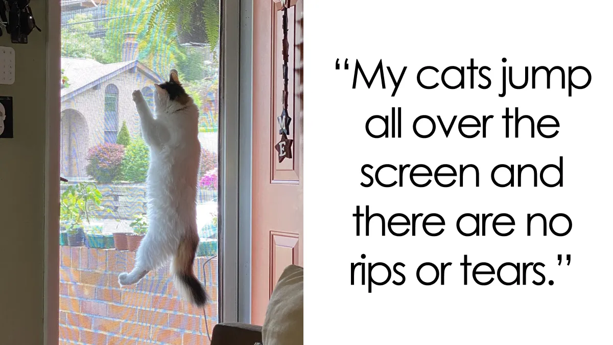 Pet Parents Are Saying These 20 Finds Are Indestructible