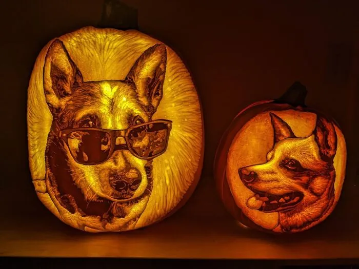 45 Spooky, Quirky, And Jaw-Droppingly Charming Pumpkin Carvings Shared By Folks Online
