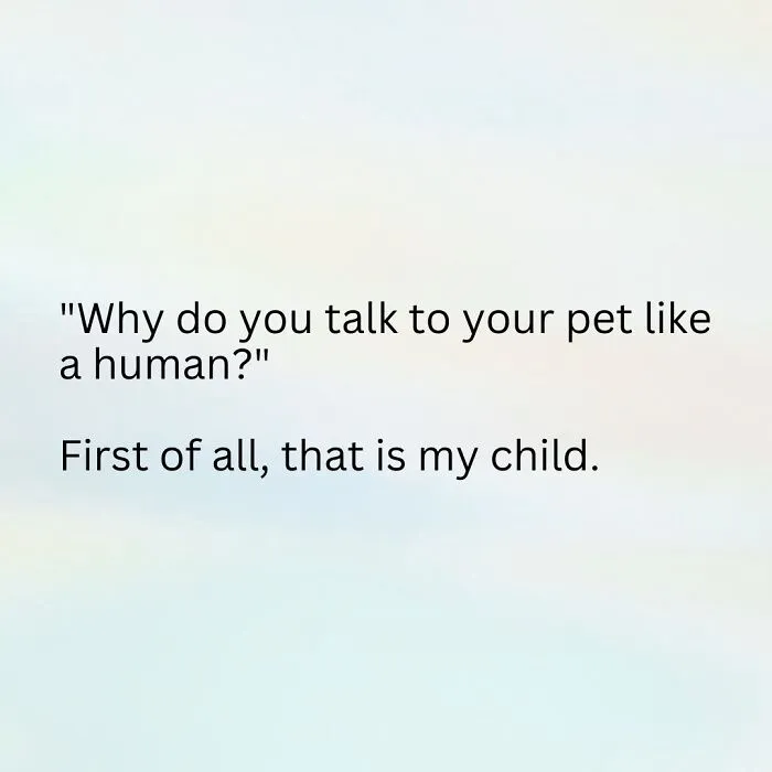 If You’re Having A Tough Day, These 30 Random Memes Might Cheer You Up
