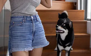 Estate Agent Allows Buyer’s Dog Into Family Home, Security Footage Exposes The Truth