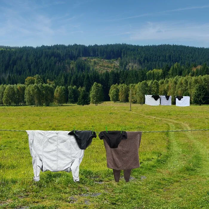 This Artist Created 21 Playful Animals From Laundry And Captured Them In Picturesque Landscapes