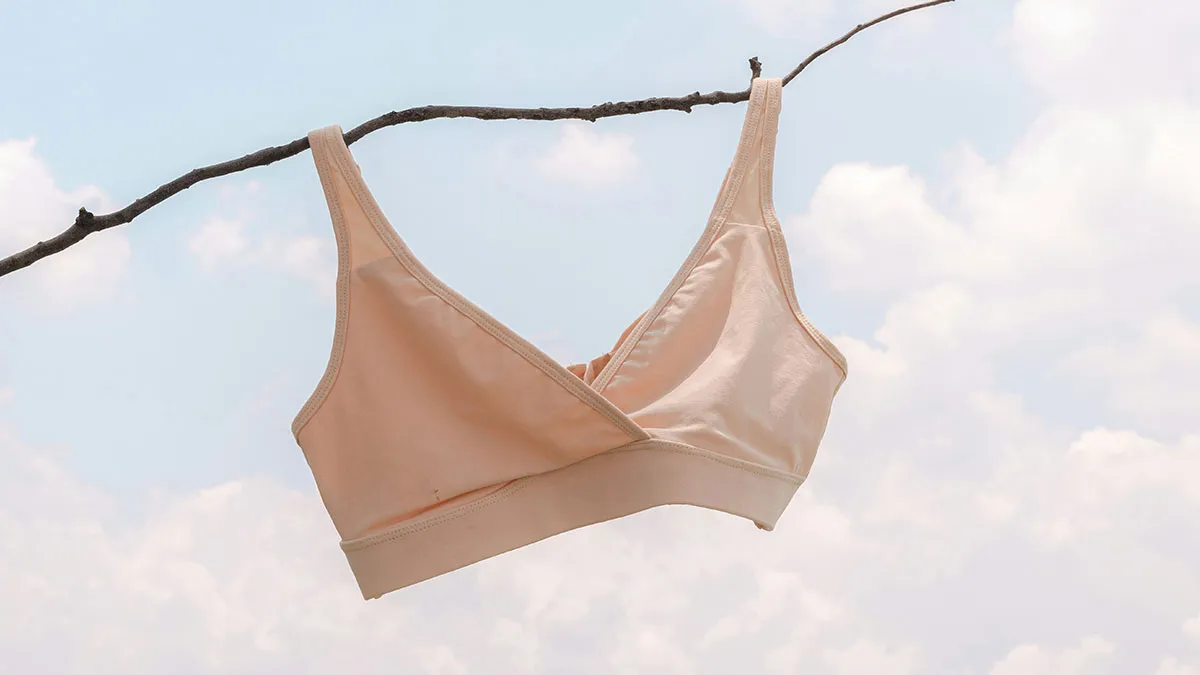 Lady Livid Over Sis Tossing Daughter's Expensive Bra And Refusing To Pay Her Back, Kicks Her Out