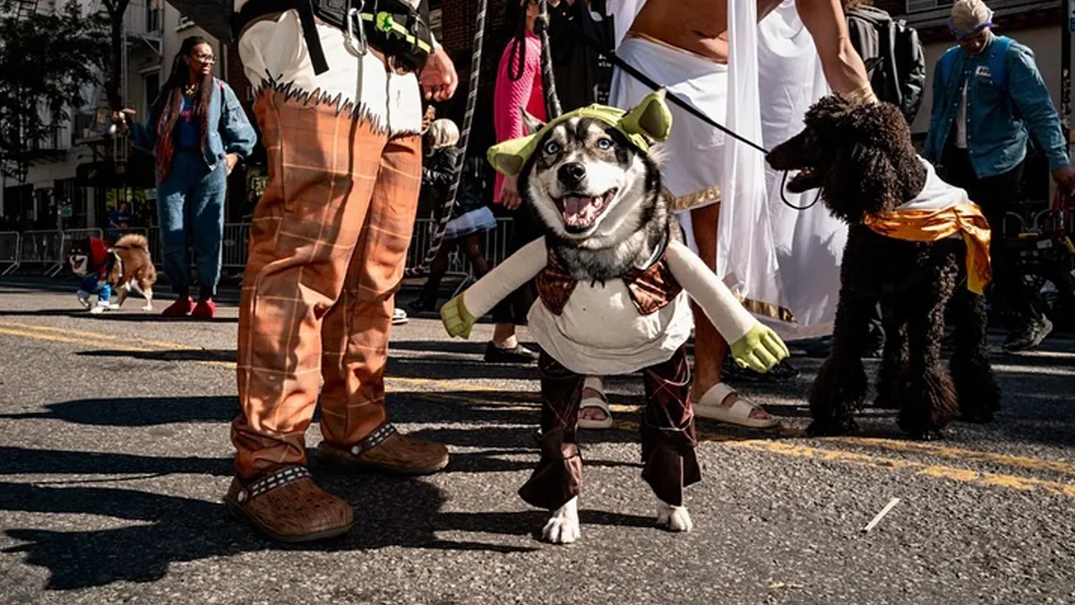 40 Dog Halloween Parade Participants Whose Costumes Were So Spooky, They Stole The Show