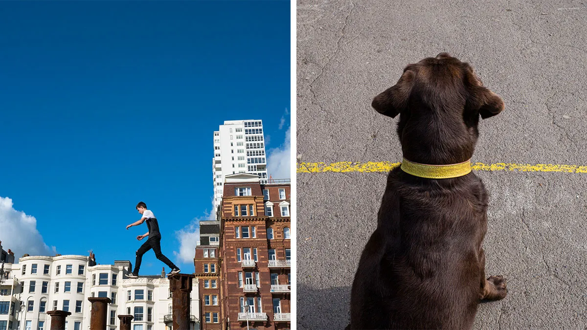 33 Funny Accidental Images That Were Taken At The Right Time And Place By This Street Photographer