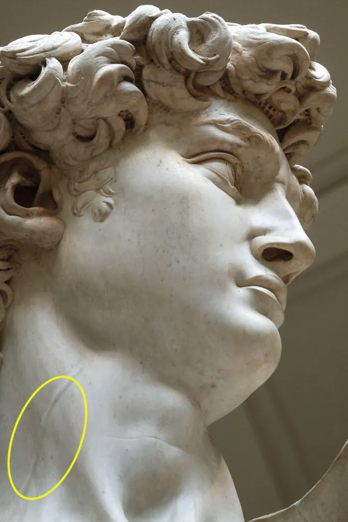 Over 100 Years Before Medical Science Described The Circulatory System, Michelangelo Perfectly Sculpted The Jugular Vein In His Statue Of David