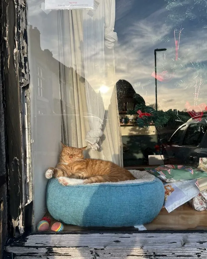 Tomada en Tideswell, Inglaterra, por @thisisgrace_