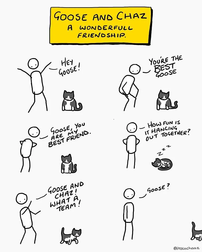 37 Sharp-Witted Illustrations By Chaz Hutton That Might Make You Chuckle And Relate (New Pics)