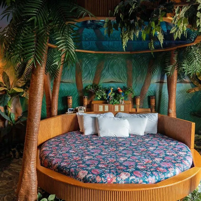 Quarantine In The Rainforest Suite In Magnolia Inn & Suites, Mississippi