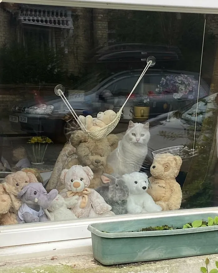Tomada en Cambridge, Inglaterra, por @maxymachen
