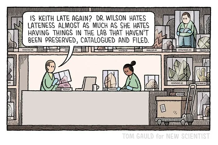 Humorous Comics By Tom Gauld For All The Book And Science Lovers Out There (40 New Pics)